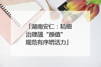 湖南安仁：精细治理靓“颜值” 规范有序增活力