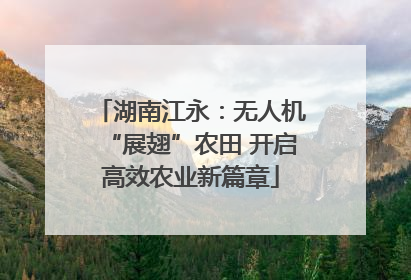 湖南江永：无人机“展翅”农田 开启高效农业新篇章