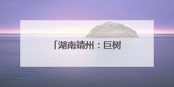 湖南靖州：巨树轰然倒塌前紧急管制成功避险