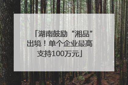 湖南鼓励“湘品”出境！单个企业最高支持100万元