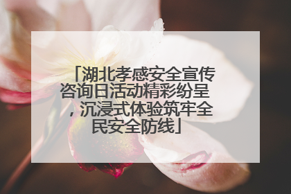 湖北孝感安全宣传咨询日活动精彩纷呈，沉浸式体验筑牢全民安全防线
