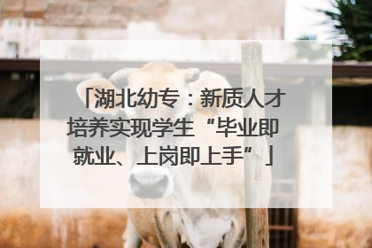 湖北幼专：新质人才培养实现学生“毕业即就业、上岗即上手”