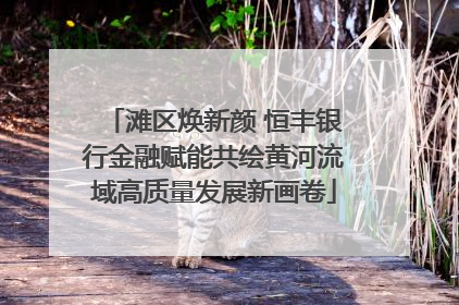 滩区焕新颜 恒丰银行金融赋能共绘黄河流域高质量发展新画卷