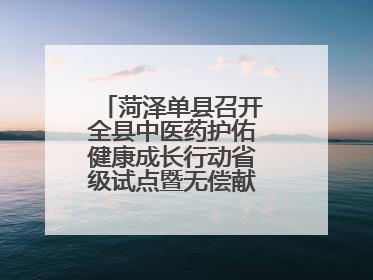 菏泽单县召开全县中医药护佑健康成长行动省级试点暨无偿献血工作会议