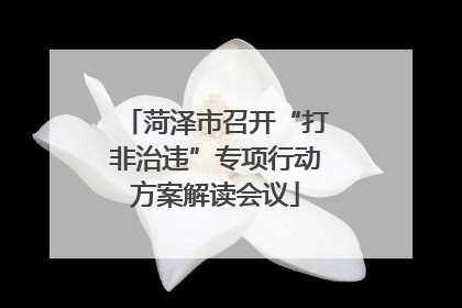 菏泽市召开“打非治违”专项行动方案解读会议