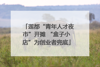 莲都“青年人才夜市”开摊 “盒子小店”为创业者兜底