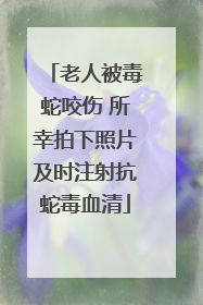 老人被毒蛇咬伤 所幸拍下照片及时注射抗蛇毒血清
