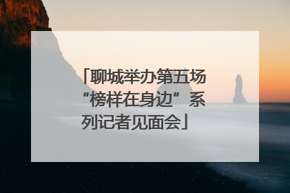 聊城举办第五场“榜样在身边”系列记者见面会