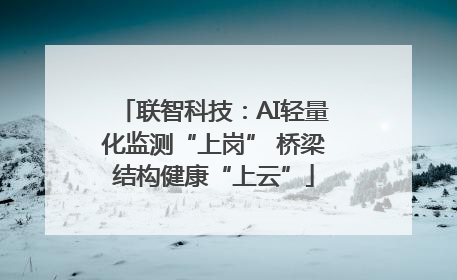 联智科技：AI轻量化监测“上岗” 桥梁结构健康“上云”