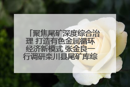 聚焦尾矿深度综合治理 打造有色金属循环经济新模式 张金良一行调研栾川县尾矿库综合治理工作