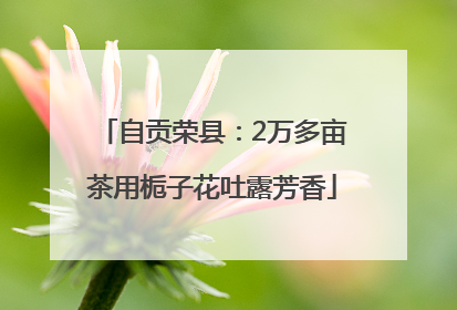 自贡荣县：2万多亩茶用栀子花吐露芳香