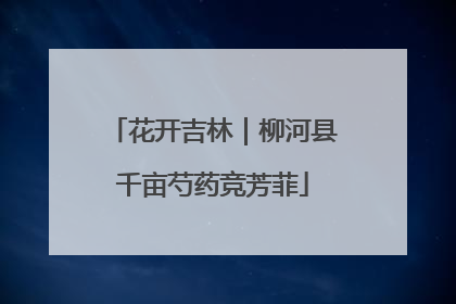 花开吉林｜柳河县千亩芍药竞芳菲