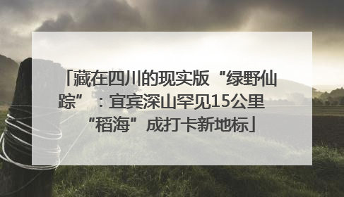 藏在四川的现实版“绿野仙踪”：宜宾深山罕见15公里“稻海”成打卡新地标