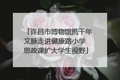 许昌市博物馆携千年文脉走进健康路小学 思政课扩大学生视野