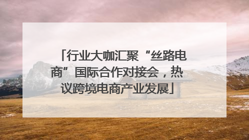 行业大咖汇聚“丝路电商”国际合作对接会，热议跨境电商产业发展