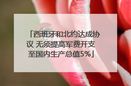 西班牙和北约达成协议 无须提高军费开支至国内生产总值5%