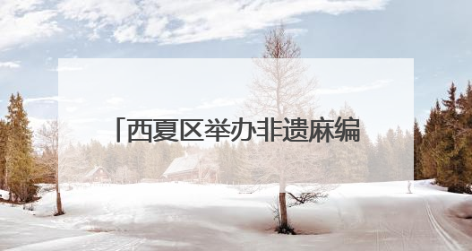 西夏区举办非遗麻编技艺阅读分享会 指尖技艺传递文化温度