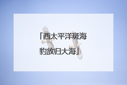 西太平洋斑海豹放归大海
