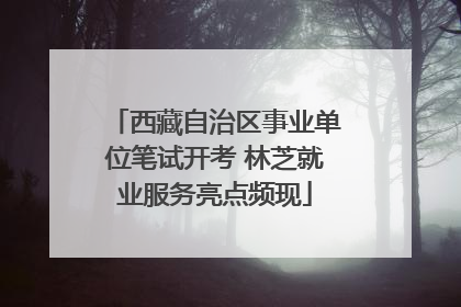 西藏自治区事业单位笔试开考 林芝就业服务亮点频现