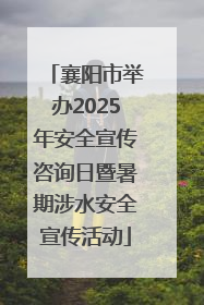 襄阳市举办2025年安全宣传咨询日暨暑期涉水安全宣传活动