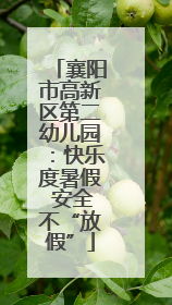 襄阳市高新区第二幼儿园：快乐度暑假 安全不“放假”