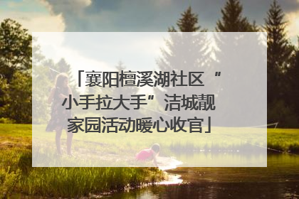 襄阳檀溪湖社区“小手拉大手”洁城靓家园活动暖心收官