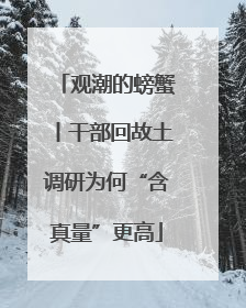 观潮的螃蟹丨干部回故土调研为何“含真量”更高