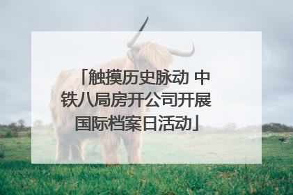 触摸历史脉动 中铁八局房开公司开展国际档案日活动