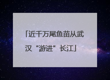 近千万尾鱼苗从武汉“游进”长江