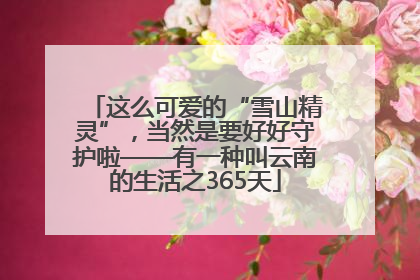 这么可爱的“雪山精灵”，当然是要好好守护啦——有一种叫云南的生活之365天