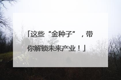 这些“金种子”，带你解锁未来产业！