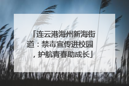 连云港海州新海街道：禁毒宣传进校园，护航青春助成长