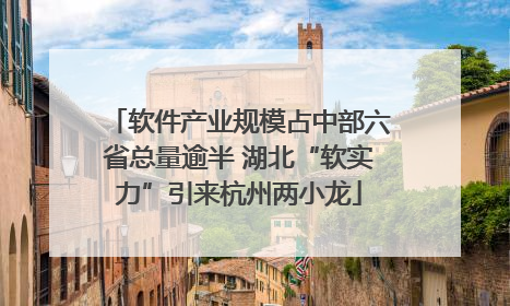 软件产业规模占中部六省总量逾半 湖北“软实力”引来杭州两小龙