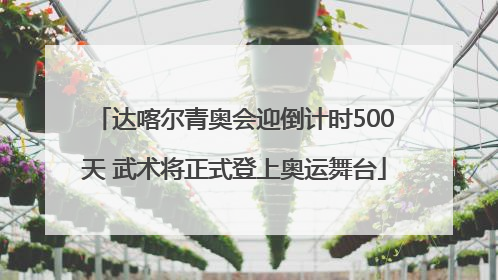 达喀尔青奥会迎倒计时500天 武术将正式登上奥运舞台