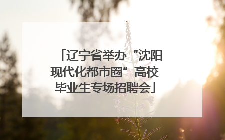 辽宁省举办“沈阳现代化都市圈”高校毕业生专场招聘会