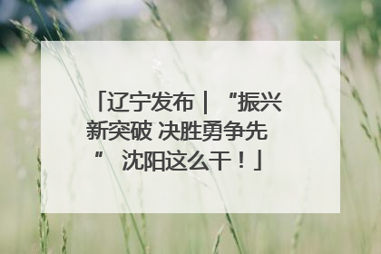 辽宁发布｜“振兴新突破 决胜勇争先” 沈阳这么干！