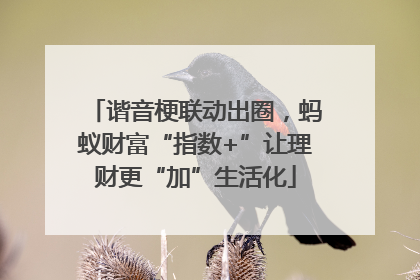 谐音梗联动出圈，蚂蚁财富“指数+”让理财更“加”生活化