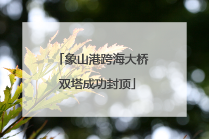 象山港跨海大桥双塔成功封顶