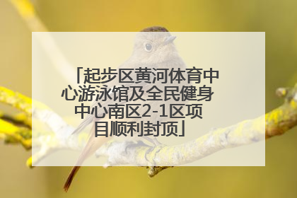起步区黄河体育中心游泳馆及全民健身中心南区2-1区项目顺利封顶