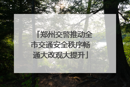 郑州交警推动全市交通安全秩序畅通大改观大提升