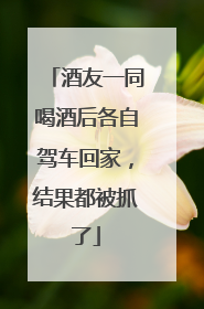 酒友一同喝酒后各自驾车回家，结果都被抓了