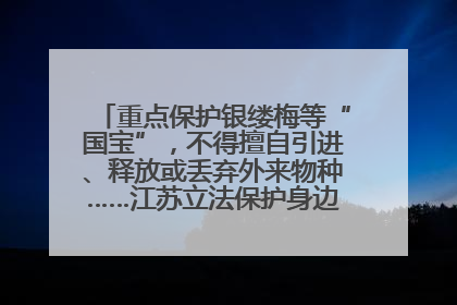 重点保护银缕梅等“国宝”，不得擅自引进、释放或丢弃外来物种……江苏立法保护身边的生物“朋友圈”