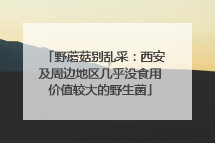 野蘑菇别乱采：西安及周边地区几乎没食用价值较大的野生菌