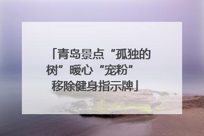 青岛景点“孤独的树”暖心“宠粉” 移除健身指示牌