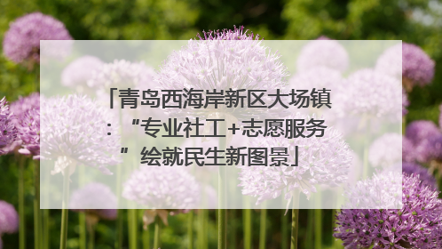 青岛西海岸新区大场镇：“专业社工+志愿服务”绘就民生新图景