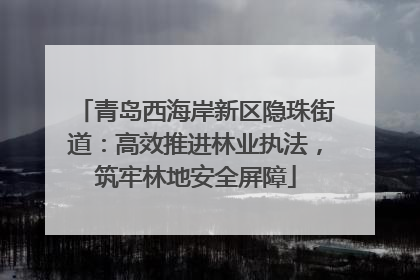 青岛西海岸新区隐珠街道：高效推进林业执法，筑牢林地安全屏障