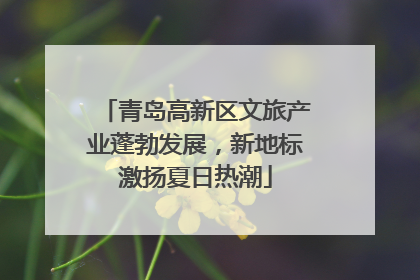 青岛高新区文旅产业蓬勃发展，新地标激扬夏日热潮