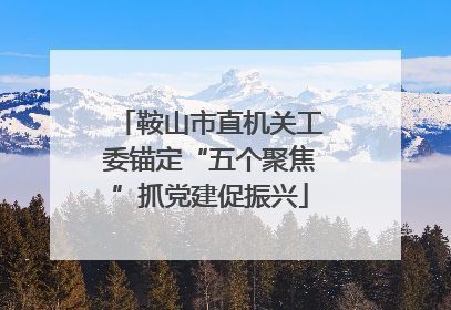 鞍山市直机关工委锚定“五个聚焦”抓党建促振兴