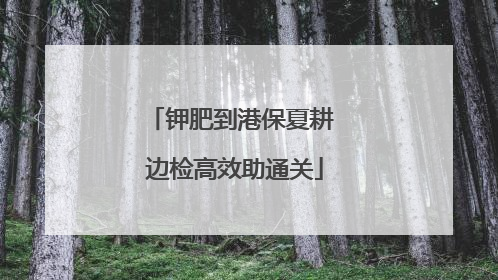 钾肥到港保夏耕 边检高效助通关