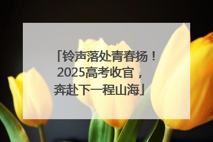铃声落处青春扬！2025高考收官，奔赴下一程山海